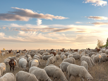 Foto cedida por Ayuntamiento de Paracuellos
