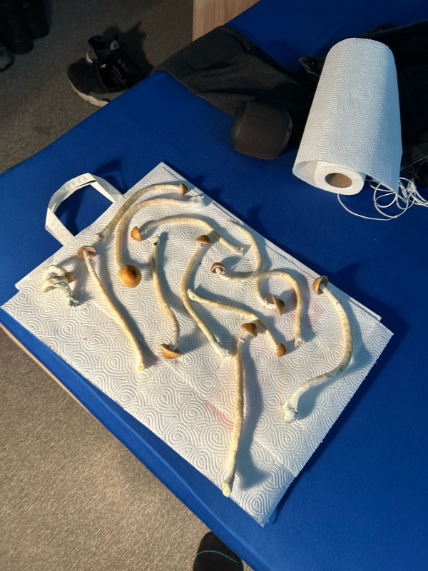 WhatsApp Image 2024-02-12 at 23.04.10 (1)