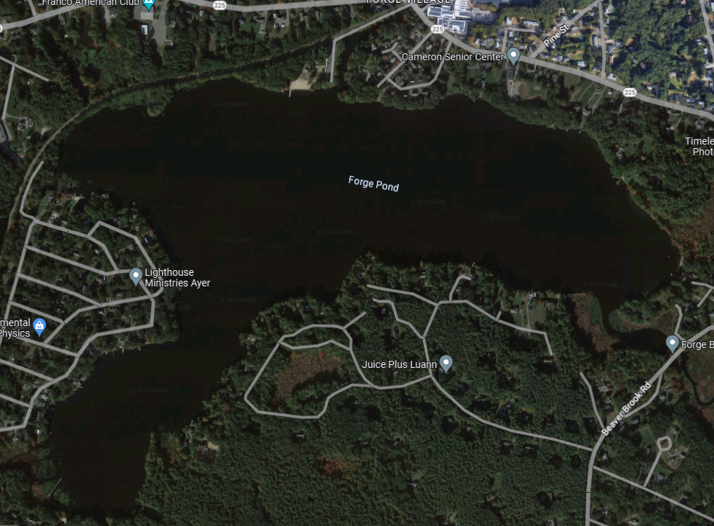 forge pond1