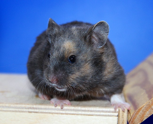 Акварель 21.04.22-03