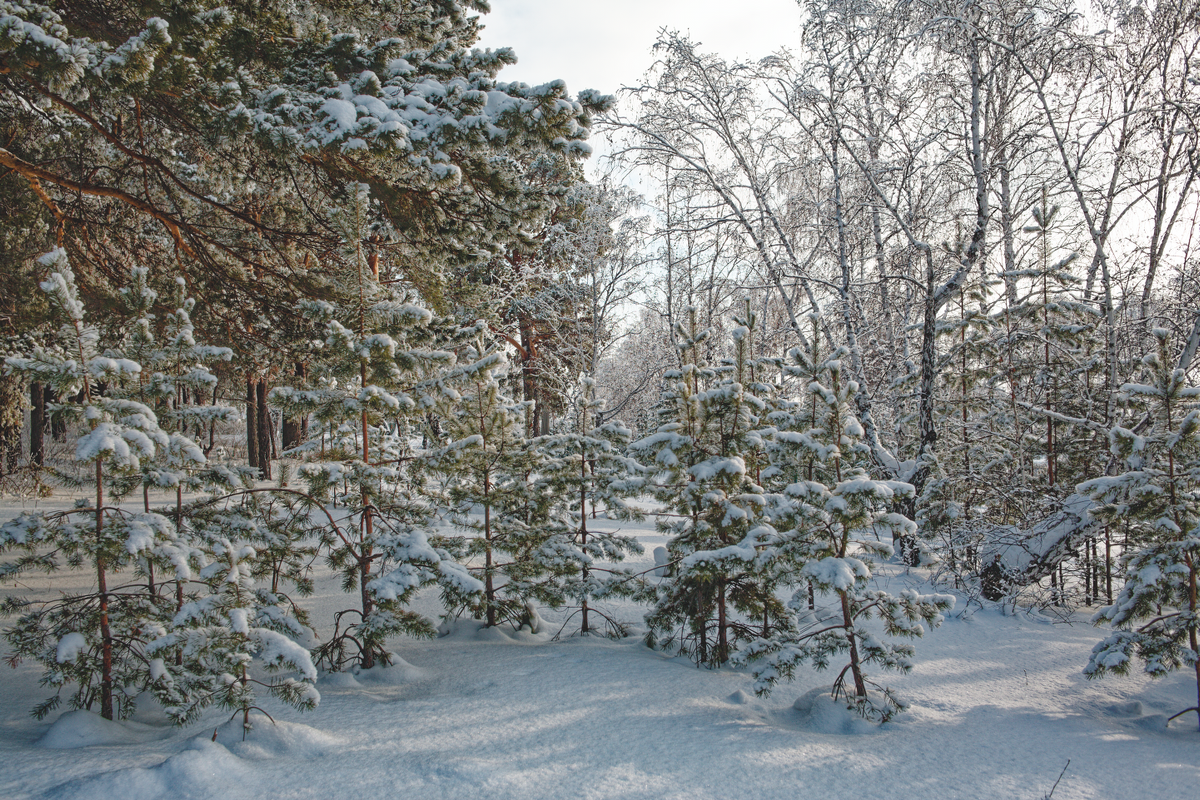 IMG_1483_DxO.tif (RGB)