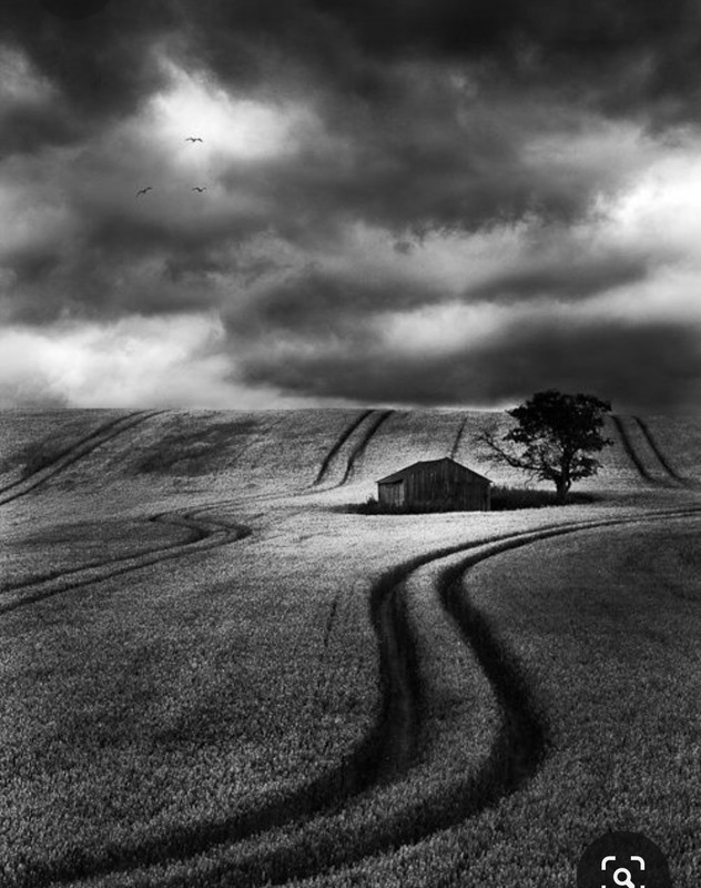 Screenshot_20230412_192402_Pinterest