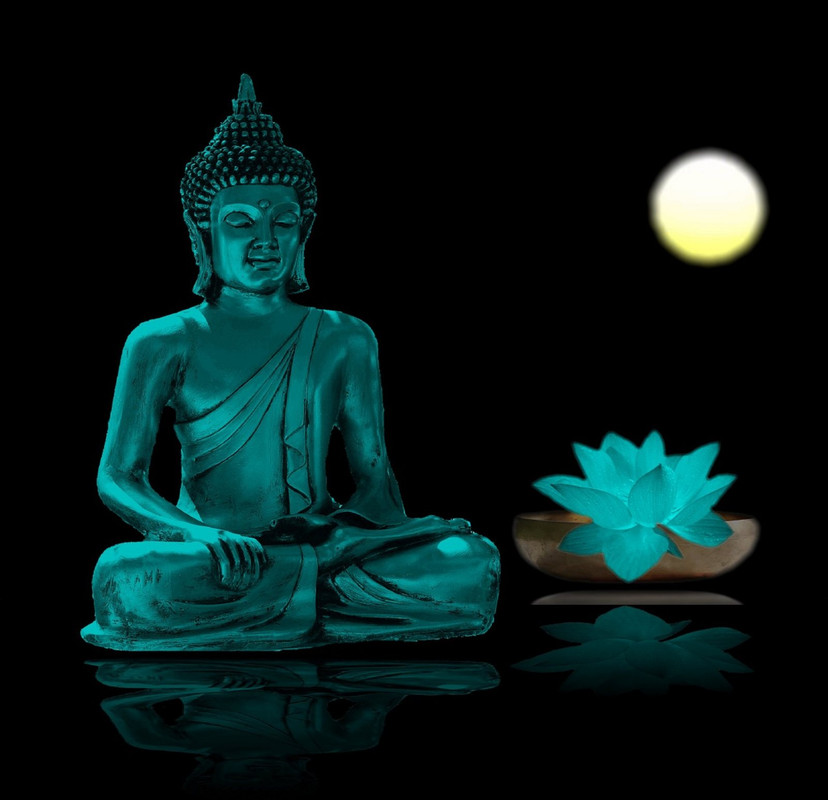 turquoise-buddha-709880-1280.jpg