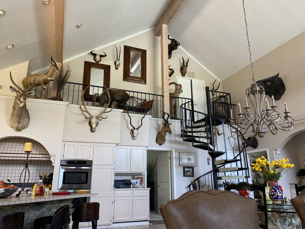 ekouI14TTx68a9eSkuF4Dg