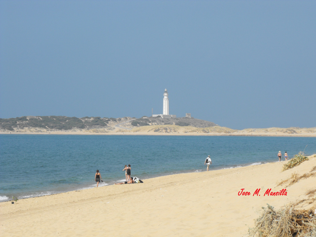 Conil-14