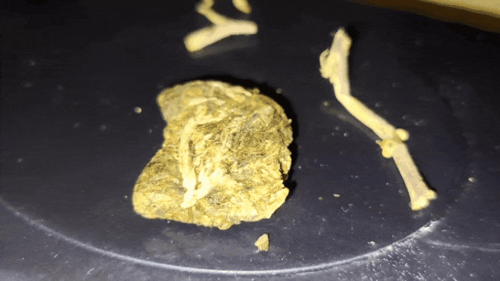 GIF-20250429-190058-691.gif