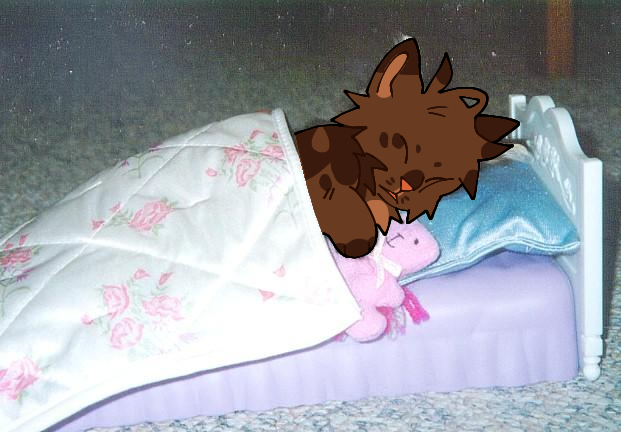 49704372_zYFTLRpFEDf7BoM