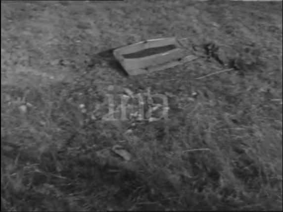 Bonnet1