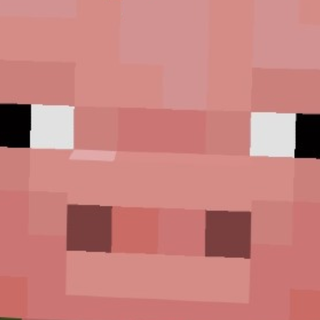 pig