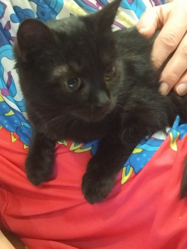 IMG-491201e4cdcd6f9d176c2ab51f67a0dc-V