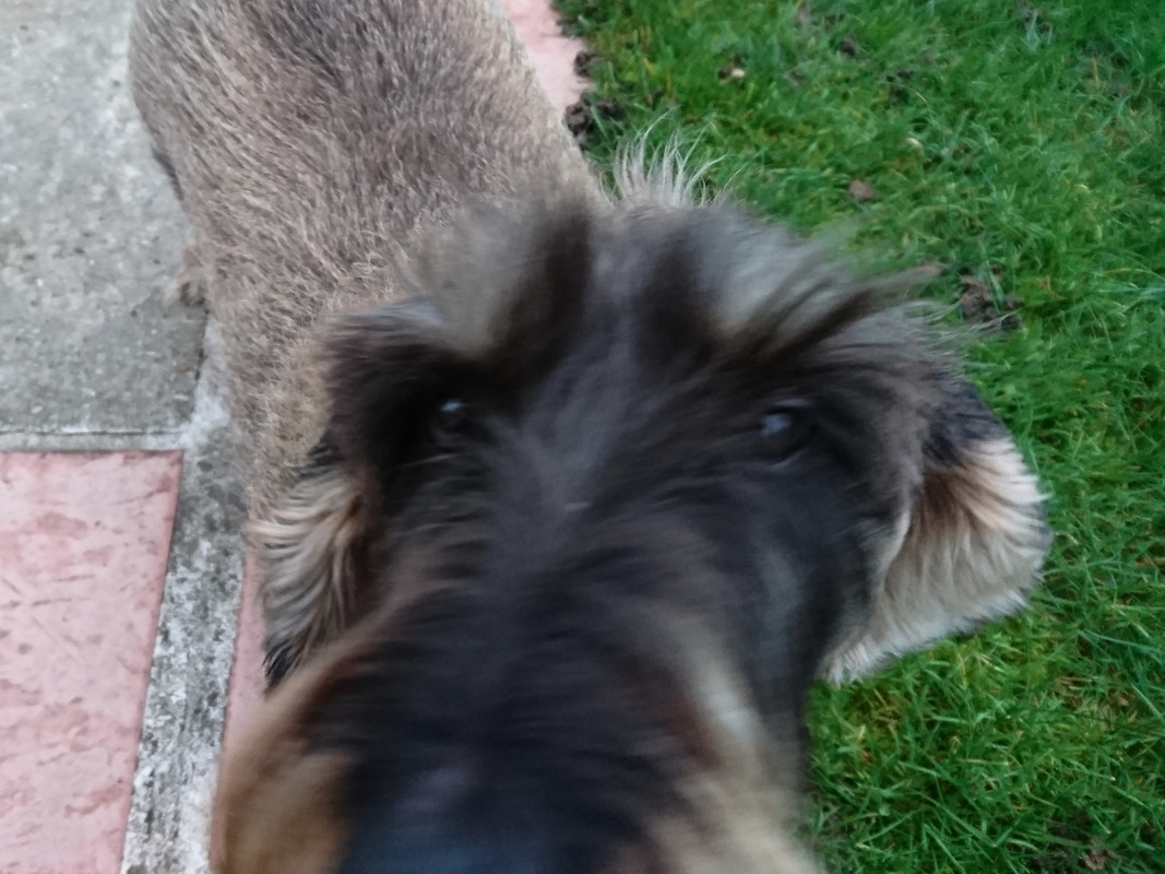 [Image: DSC-0005.jpg]