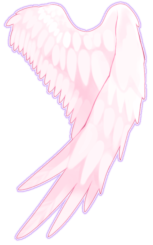  angel wings 