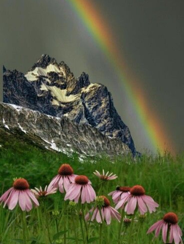 Screenshot_20240529_230532_Pinterest