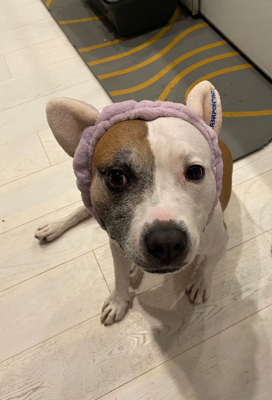 36F111C2-73EB-410A-9C9B-82E8C64E48A1