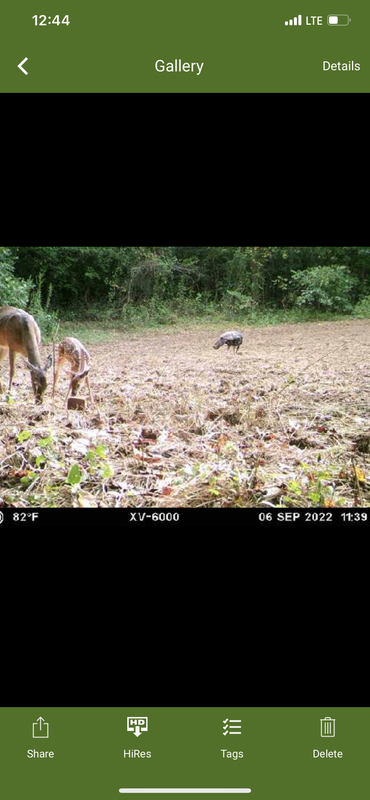 A450F504-F810-476C-9A5F-9FA149ADB3C8