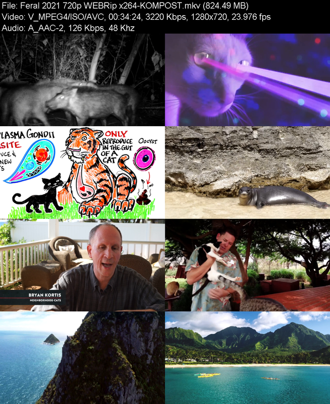 feral-2021-720p-webrip-x264-kompost.png