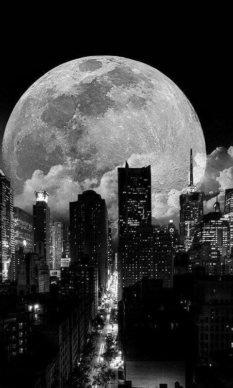 7858f0d0d5ee0983c528d537c8350f75