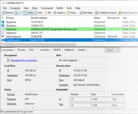 X-NetStat Professional 6.0.0.30