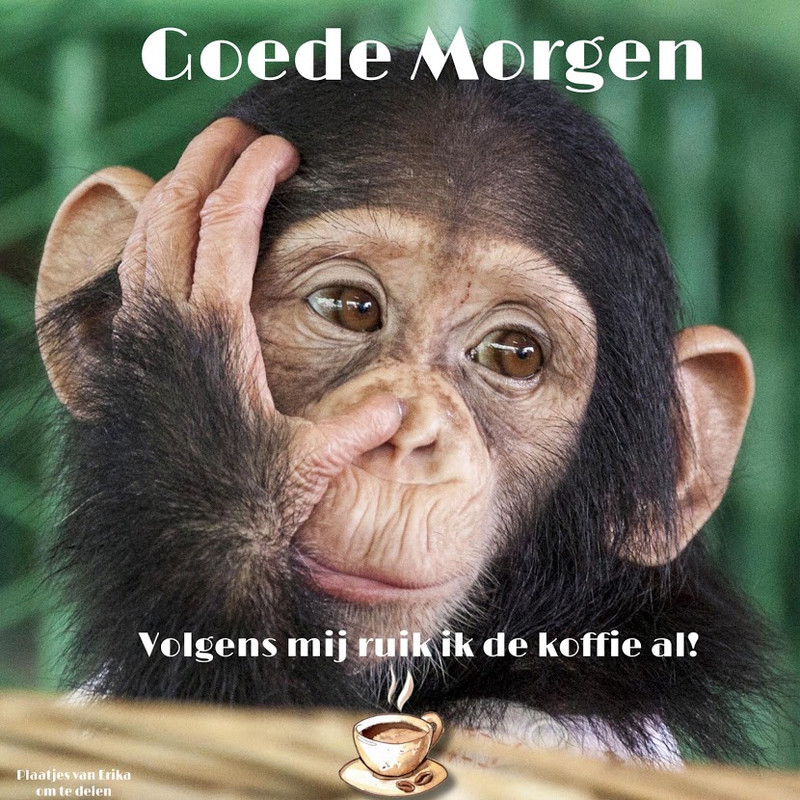 86727A27-A6D8-4DCE-9BE1-6A759C9AA8D7