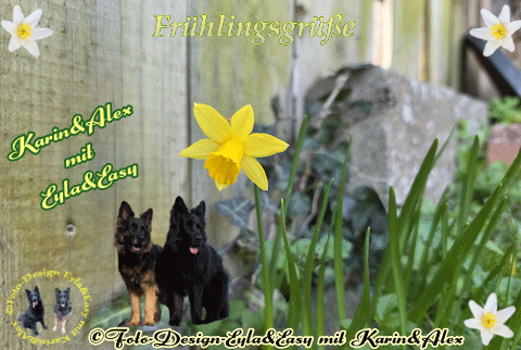 Fruhlingsgrusse-GB-27-03-2026