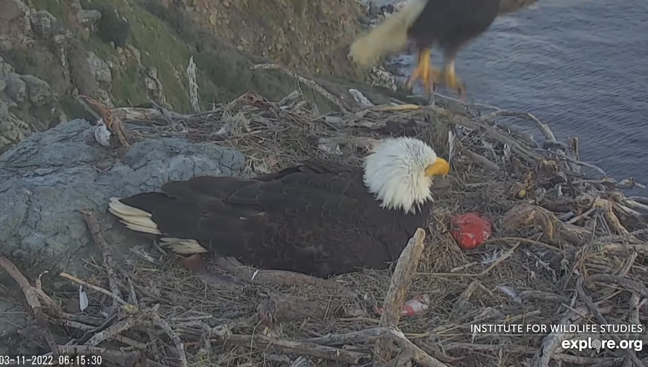 BE825E4E-7BA7-4B51-A53F-F815DCC33EB1