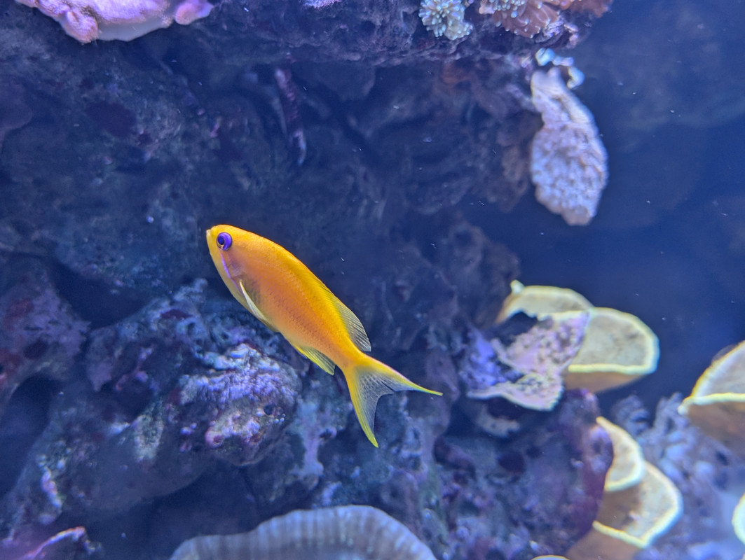 PXL 20251023 140959695 MP