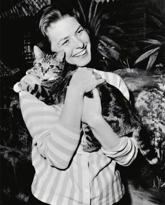 Ingrid-Bergman