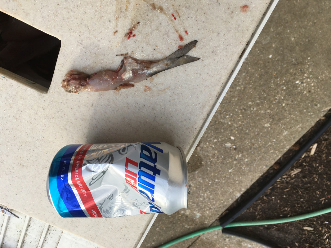 3C19F559-363C-416B-900B-5C16AE00D7E1