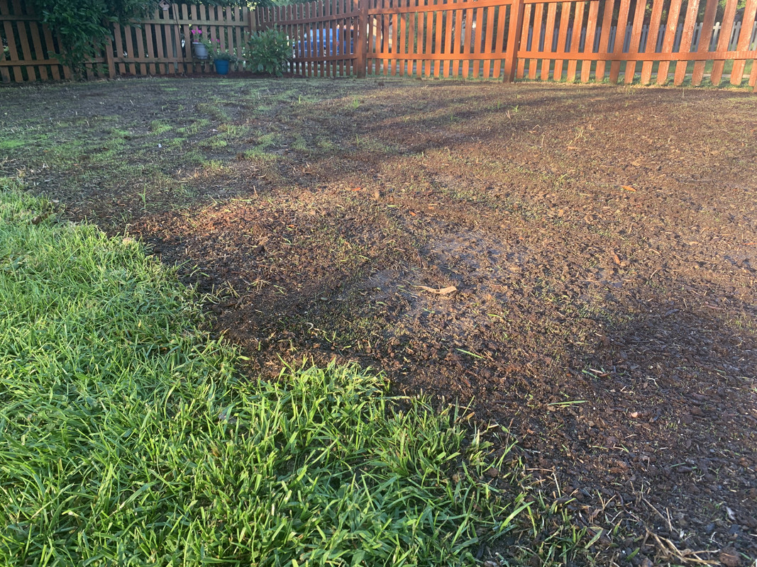 CAFF1F30-4447-4B88-BDA1-70011BF655DA