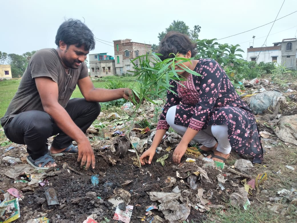 Tree Plantation Program 2024