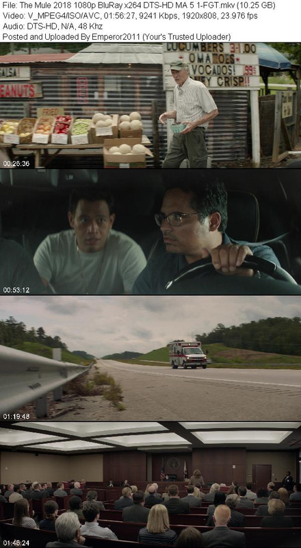 The Mule 2018 1080p BluRay x264 DTS-HD MA 5 1-FGT The Mule 2018 1080p BluRay x264 DTS-HD MA 5 1-FGT