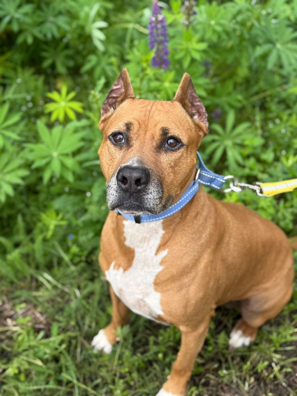 WhatsApp Image 2025-06-20 at 00.21.23 (3)