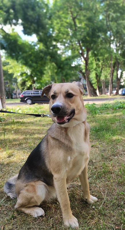 photo_2023-09-26_16-14-05