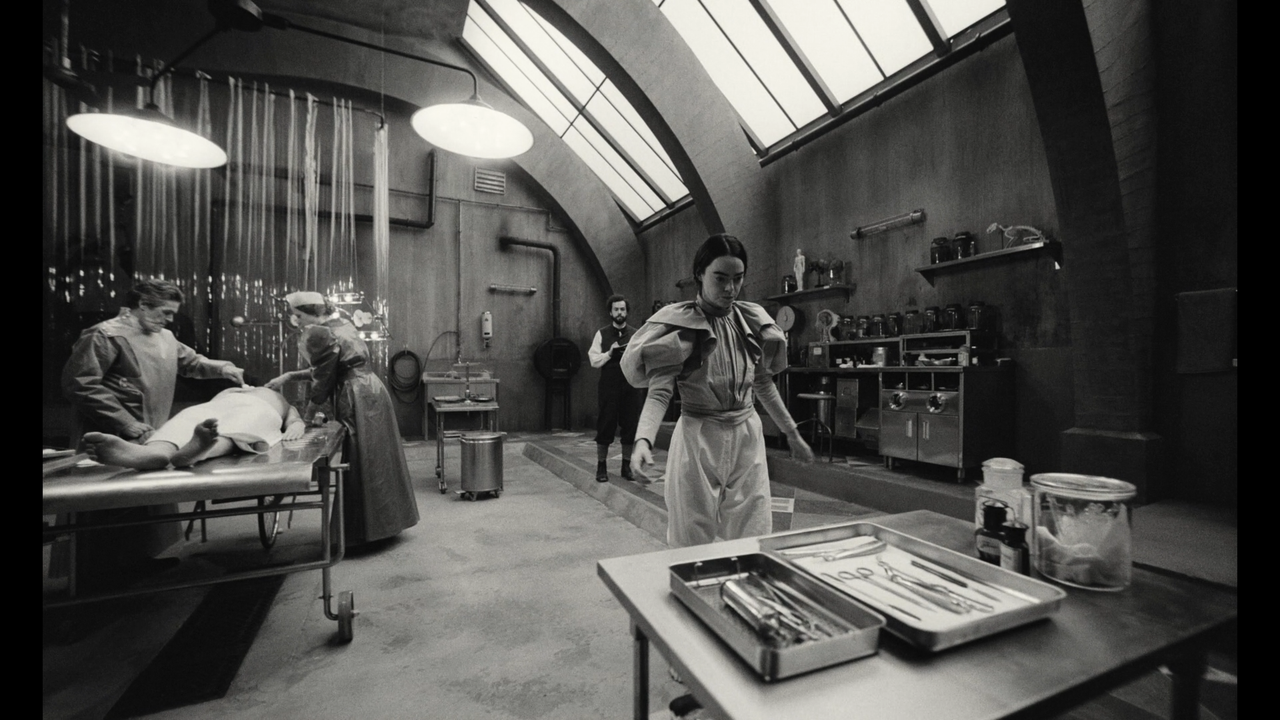 mpv-shot_Poor.Things.2023.1080p.BDREMUX.AVC-Нечипорук_00_09_30_0001