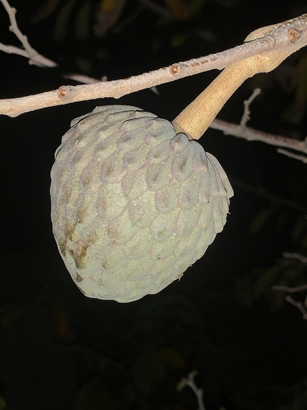 096FF9CB-21E0-4C3D-8874-1C8621D28456