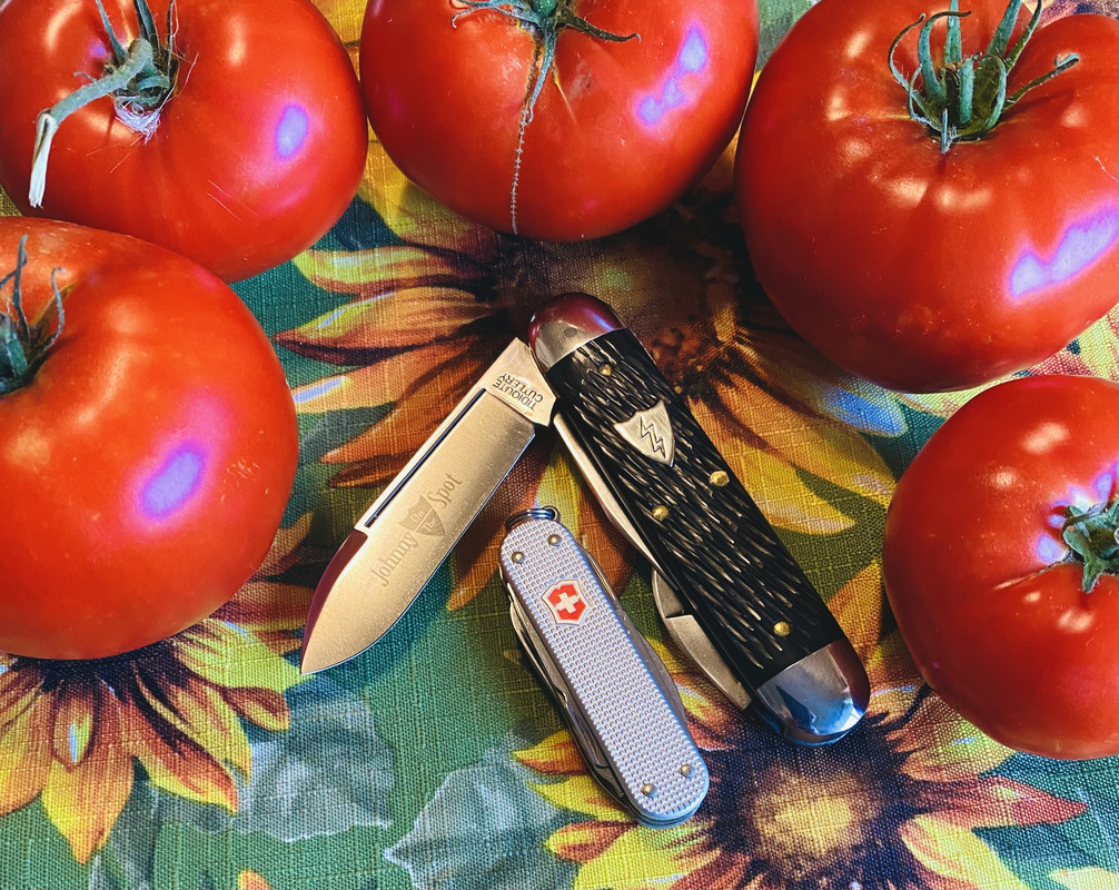 5CA8F5BE-1645-47FF-99C2-092BE94E6A38