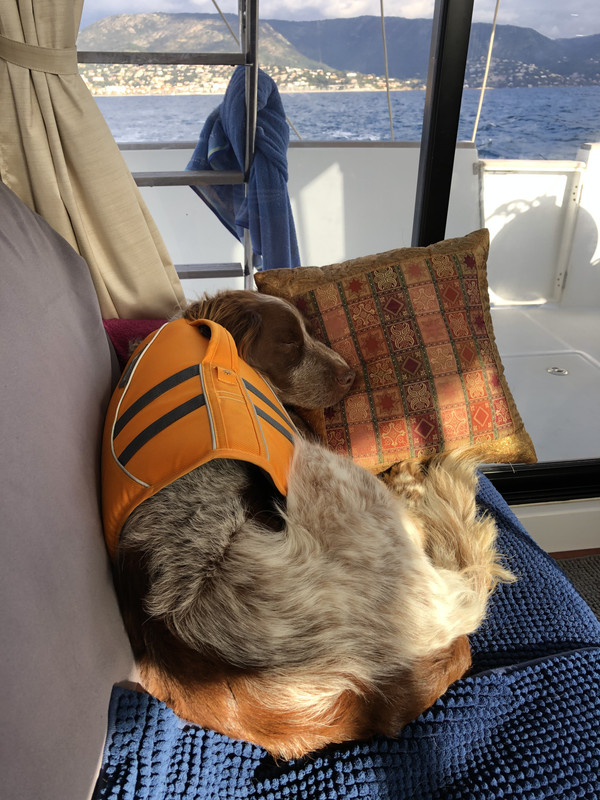 B2831F64-6A99-477B-ABC8-3DB848BD4693