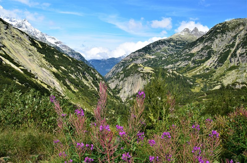 GLACIAR DE RODANO-9-9-2019 - Suiza y sus pueblos-2019 (111)