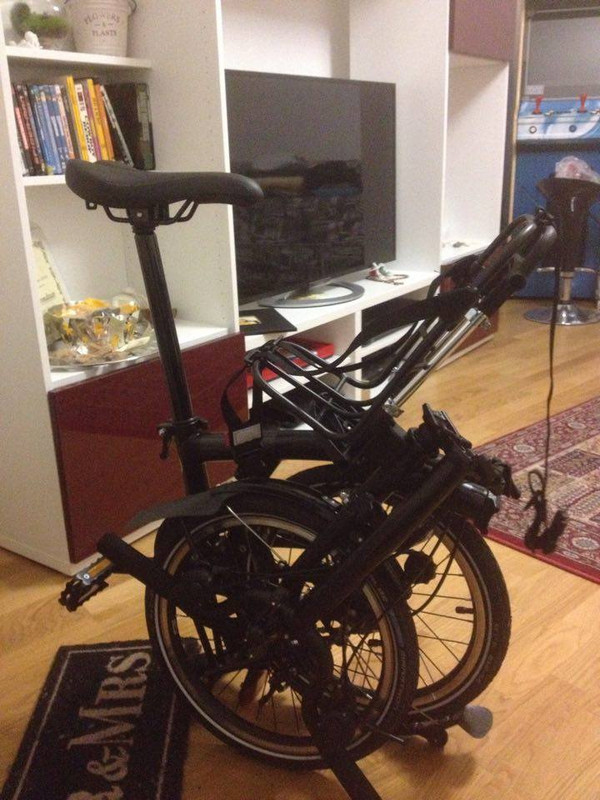 14642714_10210420492329838_835363327_n(1)