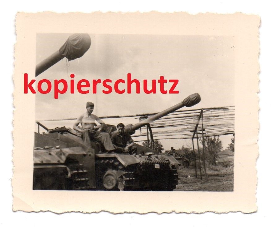 Sturmgeschütz-Abteilung 270 , später Panzerjäger-Abteilung 152 S