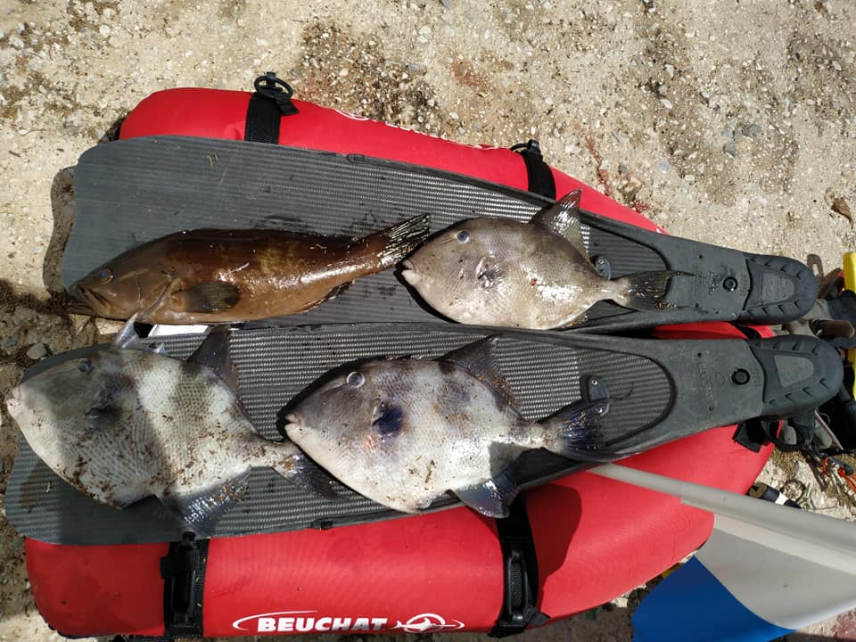 281840948_10226020885444924_5878951130048946778_n