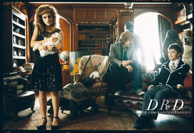 emmawatson-photogallery.blogspot.com (7)