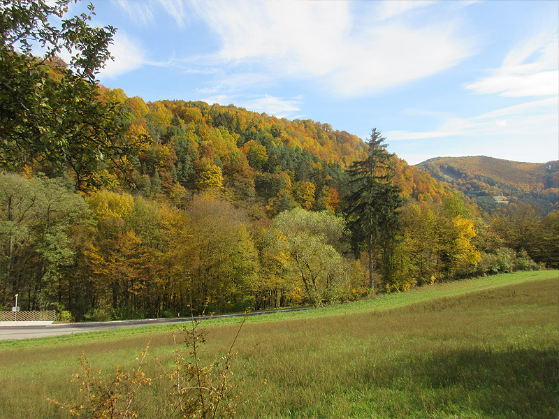 herbstwaldviertel_00005_20151024