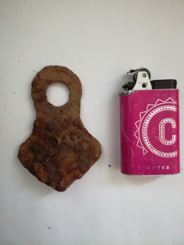 IMG_20170509_100856 (2)