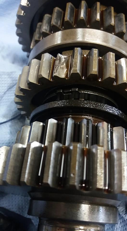 91272343_1857720774359554_5267459711287951360_n