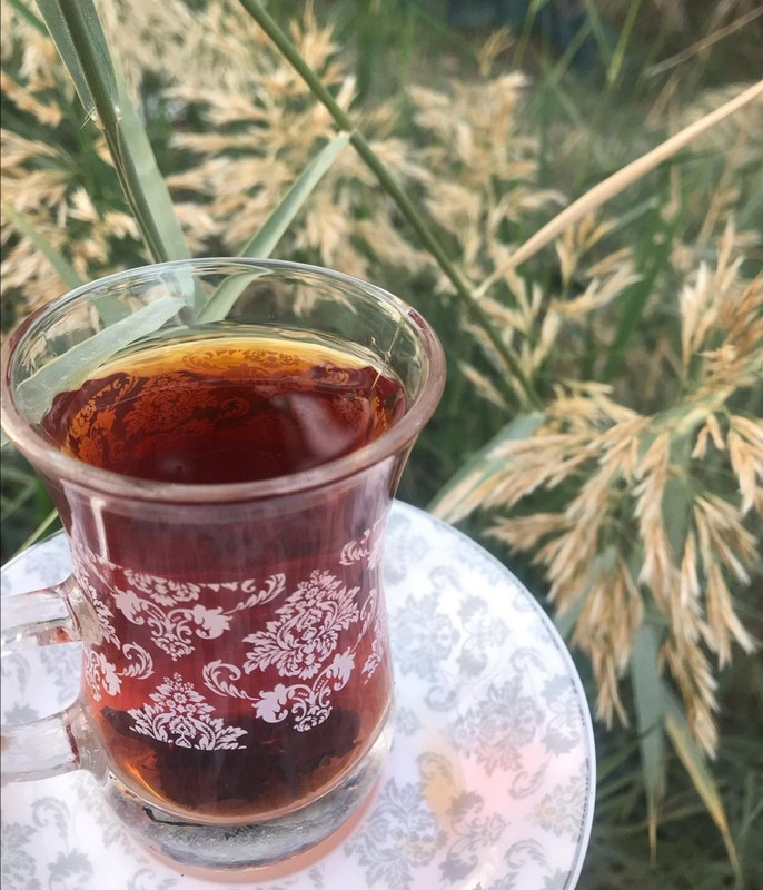 Screenshot_٢٠٢١٠٥٢٥_١٧٥٤٠٣