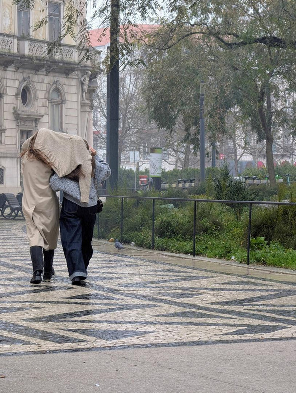 648296249 25624065530626409 2339718289311735892 n