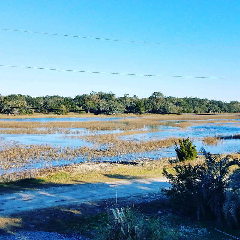 blueskiesoverthemarsh.jpg