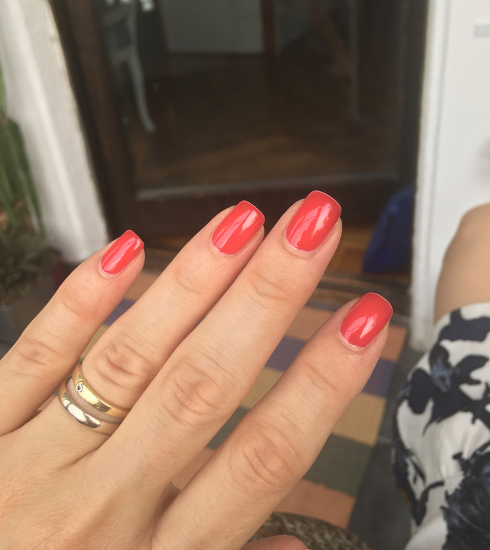 4554F494-B51E-41B9-B0B1-FE1776DAF4D9