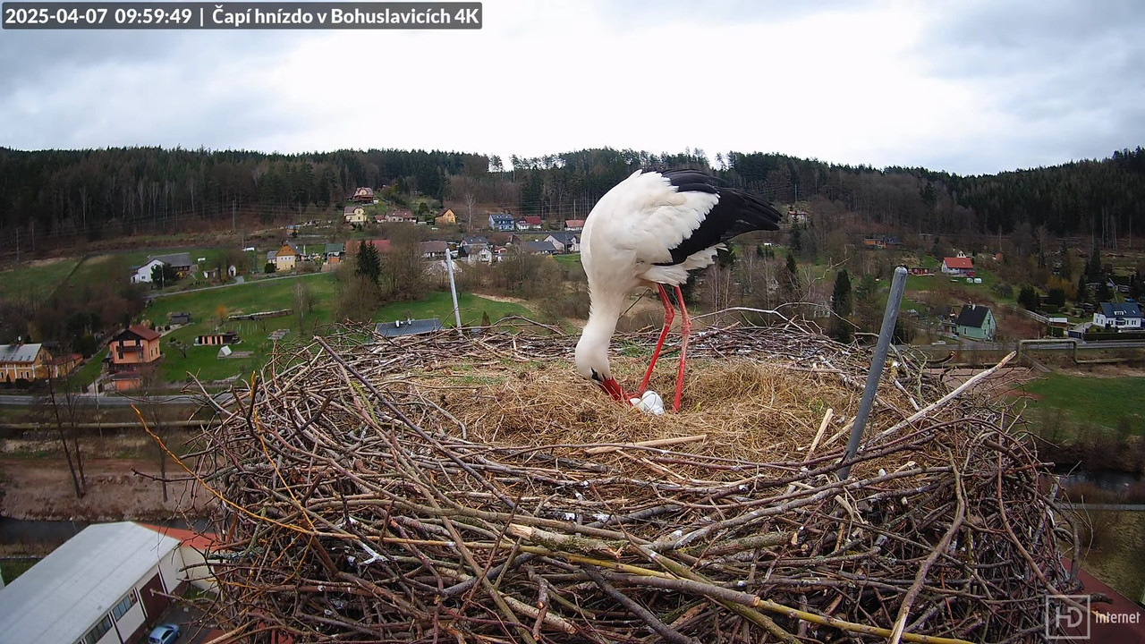 Živě z čapího komína firmy KARA v Bohuslavicích u Trutnova 13-48-2 screenshot